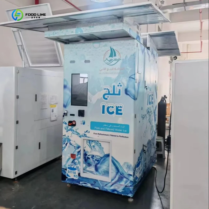 Ice Cube Vending Machine Ice Vending Machine Auto Sealing Bag Commercial Ice Vending Kiosk FL Customized