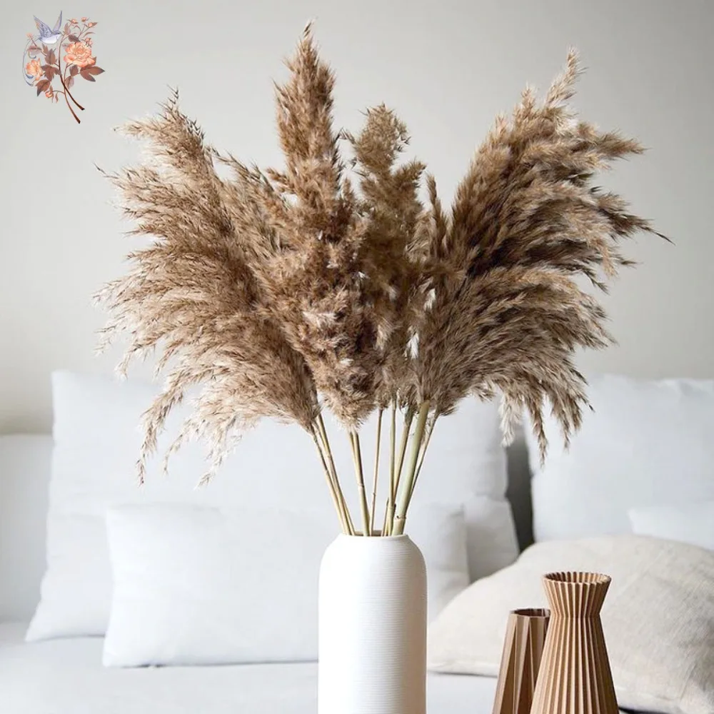 Fluffy Dried Pampas Bouquet Boho Home Decoration Natural Phragmites Reed Pampa Bunch Wedding Artificial Flowers Shooting Props