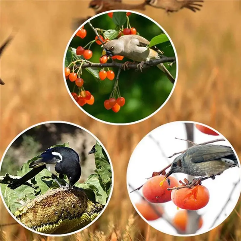AS94-Solar Timer Bird Repeller With 13 Sound Waterproof Alarm Outdoor Protection Animal Deterrent For Crops Orchards