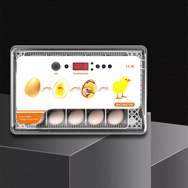 Incubator with automatic egg turning, holds up to 20 eggs, LED high-efficiency lighting display, brooding and incubation.