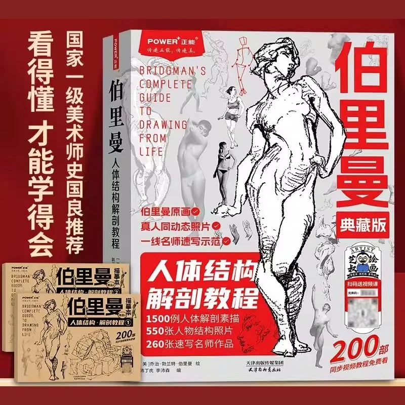 Bridgman Tutorial Book Human Body Structure Drawing Introduction Basic Drawing of Character Sketches Matching Tracing Book