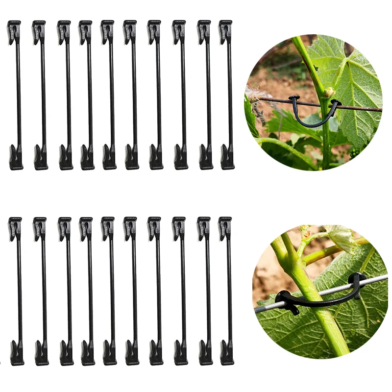 Vine Fixing Branch Binding Clip For Fixing Farm Garden Plants Fruit Trees Plastic Hook Irrigation Belt Buckle Blueberry Grape