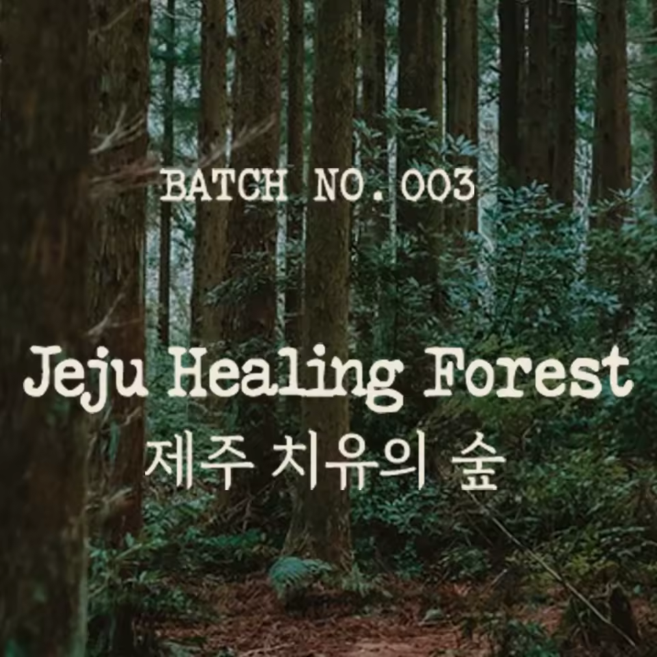 디퓨저 비교 분석