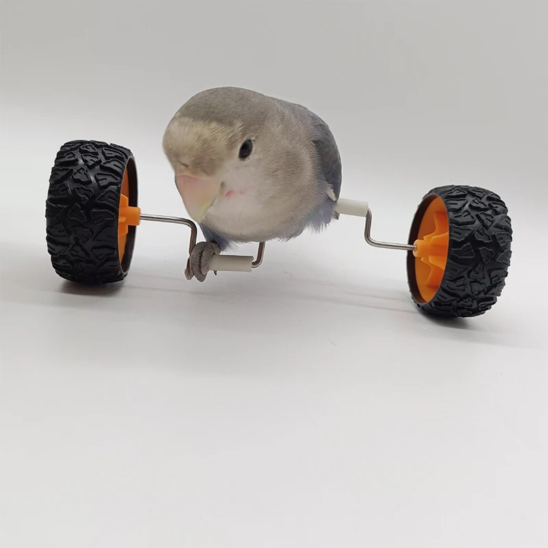 Creative Pet Parrot Balance Car Toys Small Medium-Sized Bird Supplies Roller Skateboard Skill Training Props Pet Bird Toys