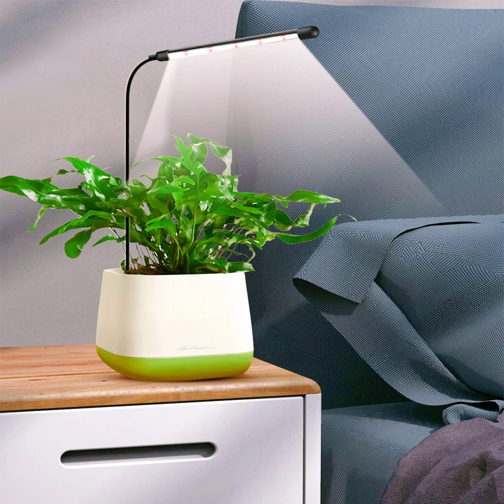Plug-and-play full-spectrum plant growth lamp with USB dimming timer, suitable for indoor greening. image 5