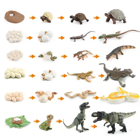 Simulation Dinosaur Lizard Turtle Snake Crocodile  Growth Life Cycle Model Action Reptile Animal Figures Education Miniature Toy