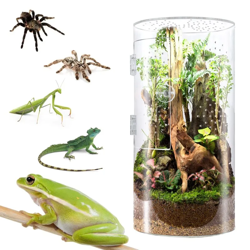 

Jumping Spider Fence Cylindrical Pet Box Reptile Feeding Box Front Opening Pet Feeding Box