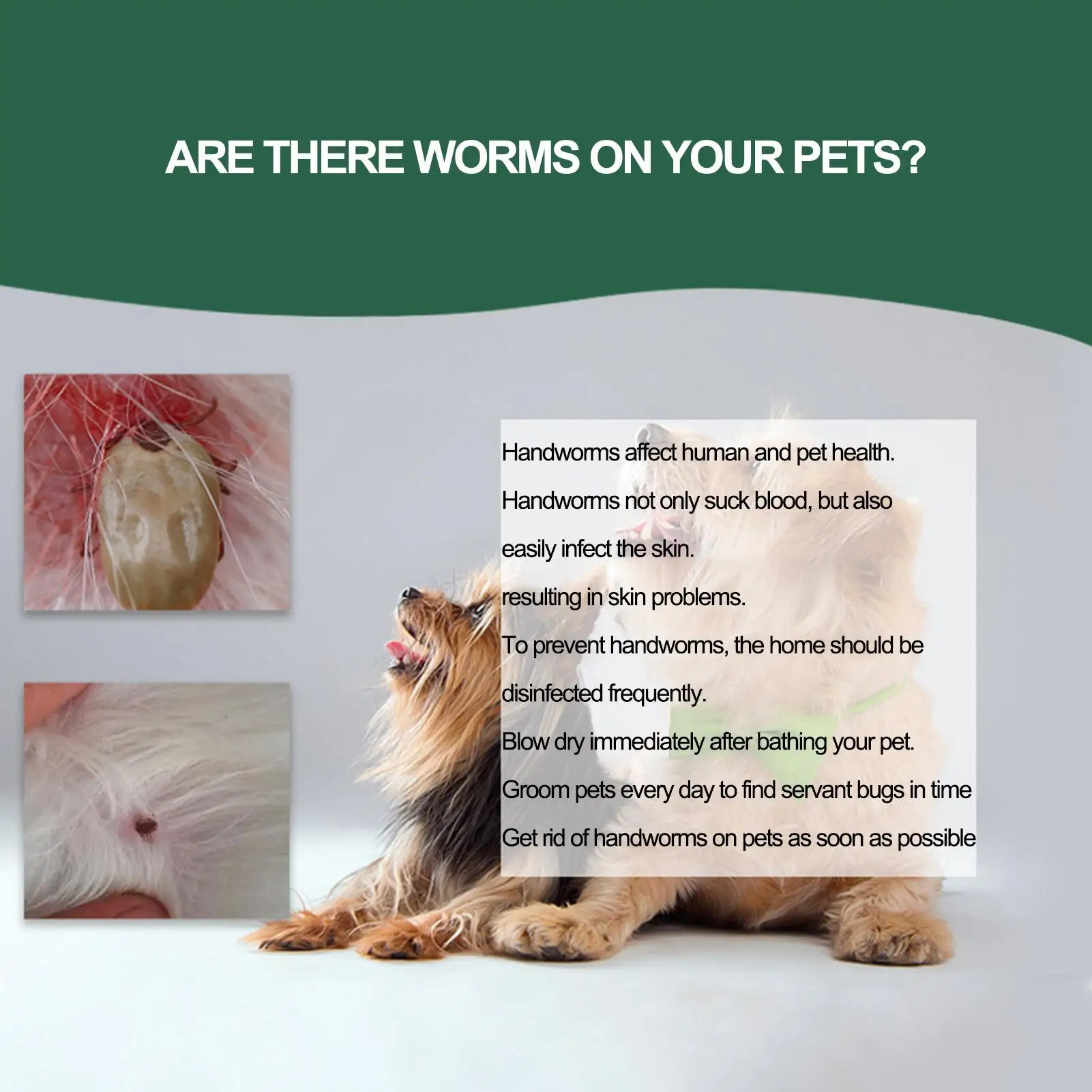 Pet Tick Remover Tool Durable Family Pet Flea Control Waterproof Portable Rustproof Tick Removal Pen For Cat Dog And Humans view 5