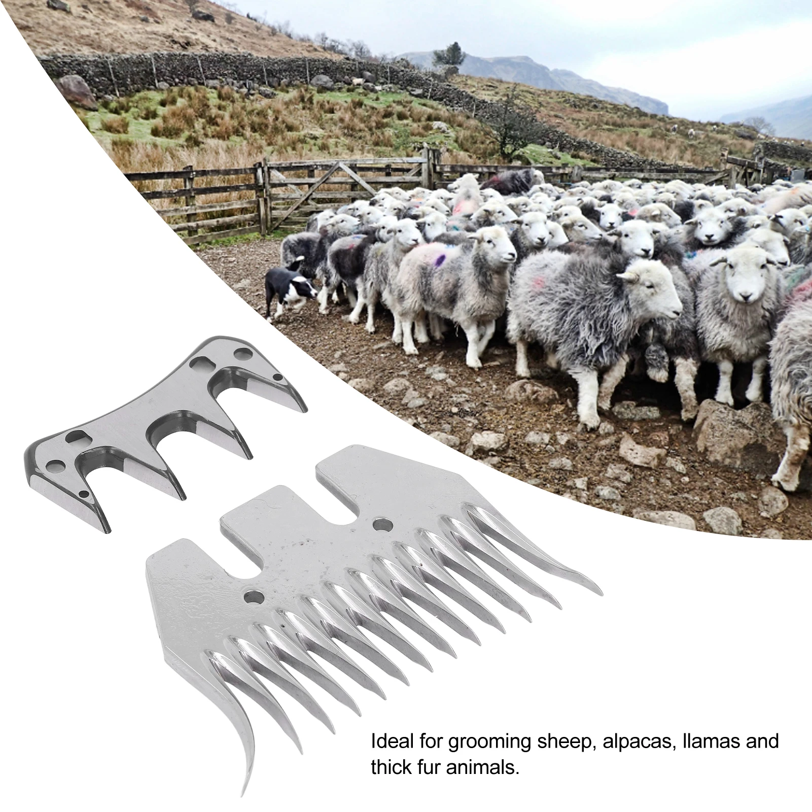 

Sheep Shears Blade Curved 13 Teeth Wool Clipper Comb Cutter Trimmer Accessory Set Kit