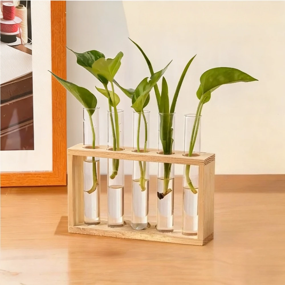 3/5 Tubes Wall Hanging Hydroponic Green Plant Test Tube Vase with Wooden Stand Desktop for Home Office Planter Garde Decor