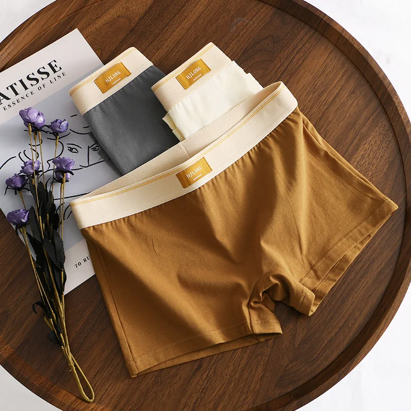 3 Pack Men Soft Cotton Boy Shorts Underwear Mid-Rise Stretch Anti-Chafing Breathable Boxer Briefs Casual Sleep Underpants