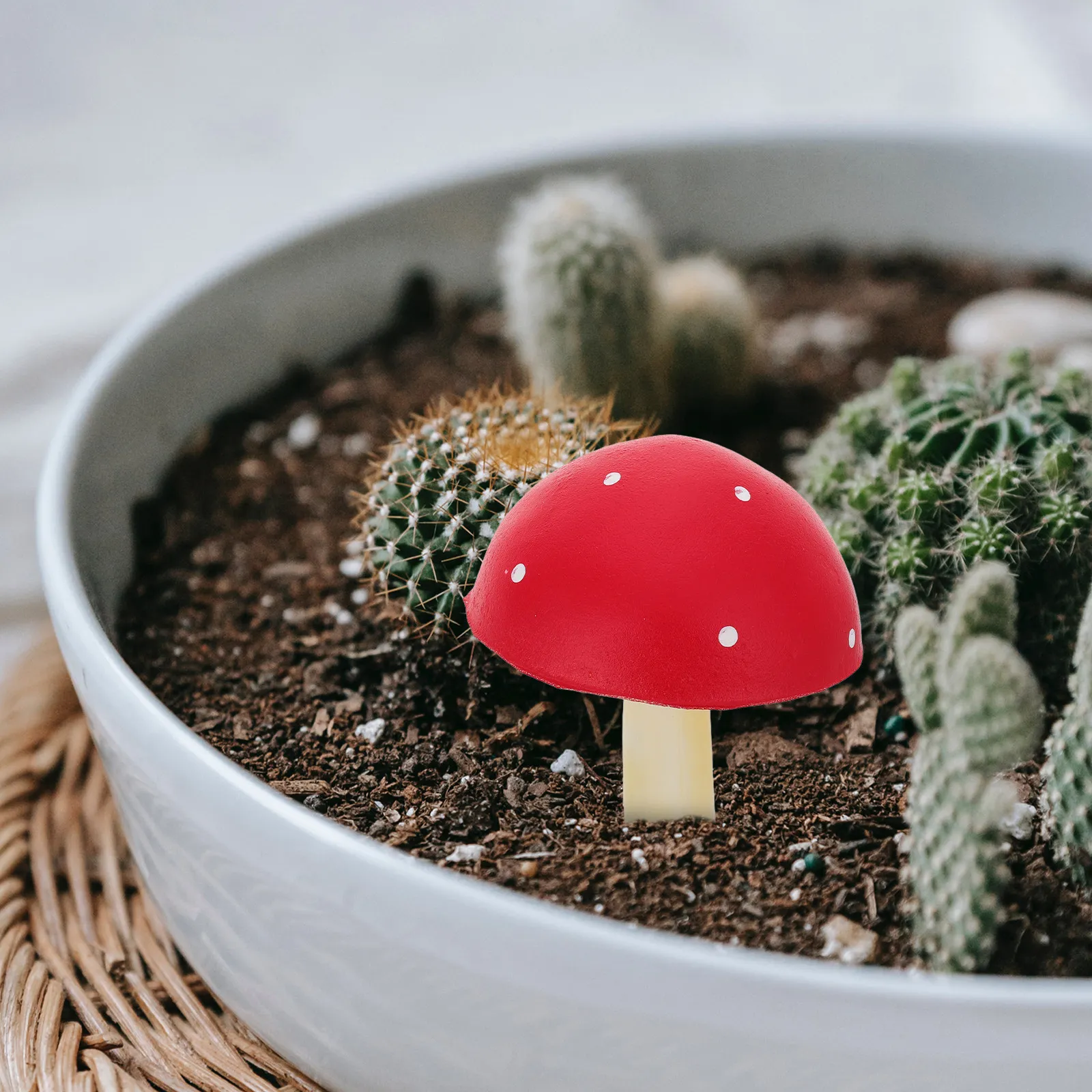 Decoración de Jardín con Hongo - Bonsai Garden Restaurant reseña y precio