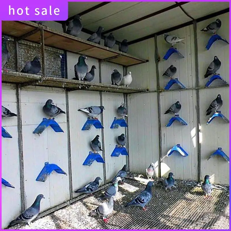 

30Pcs Birds Dove Pigeon Rest Stand Frame Dwelling Roost Perches Birds Rest Stand Frame Dwelling Perch Bird Supplies Easy To Use