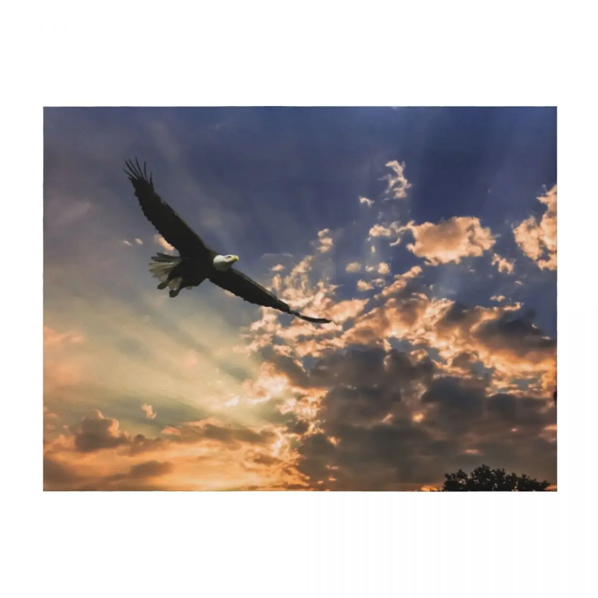 

High Soaring Bald Eagle Throw Blanket Cute Plaid Warm for winter Hairys Blankets