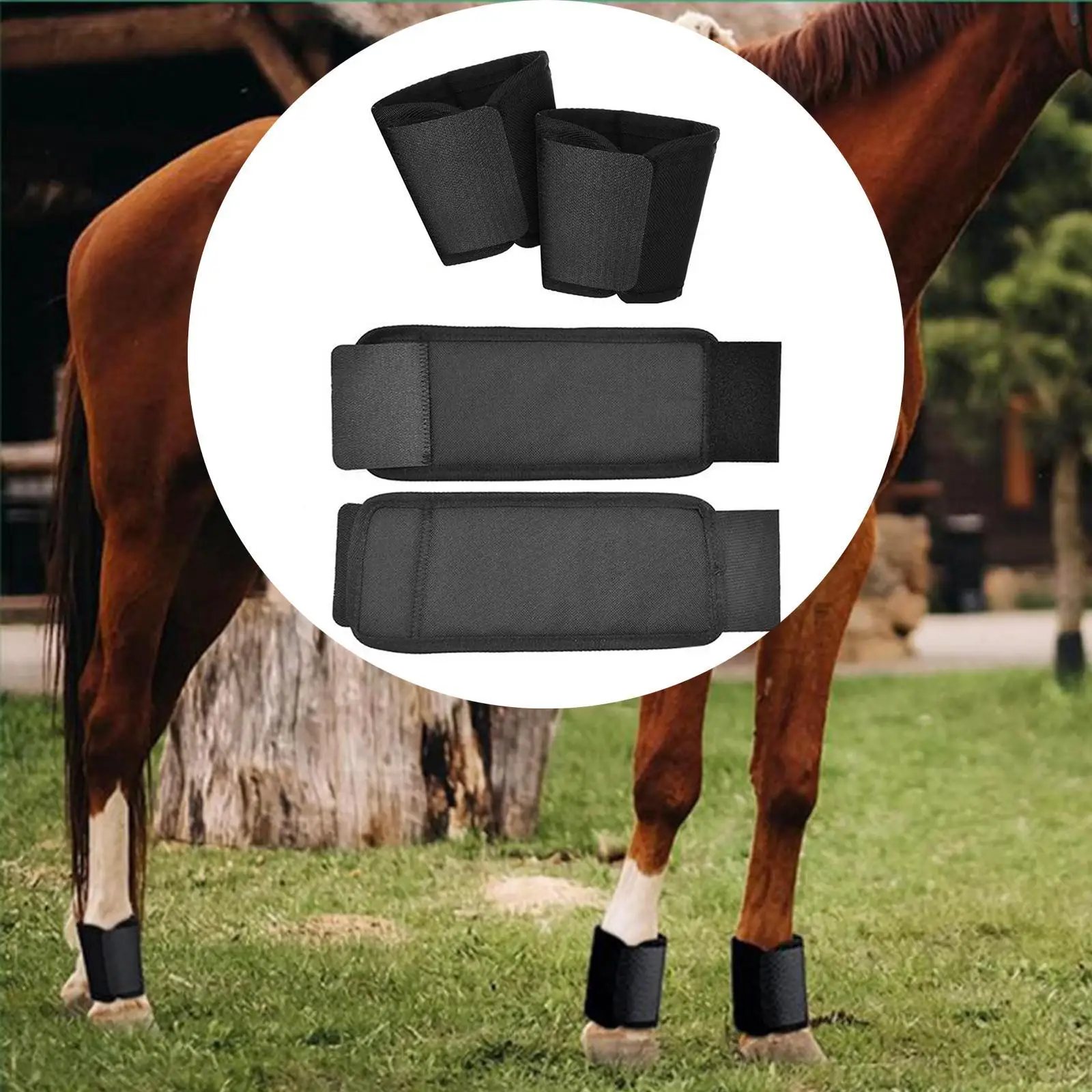 

4Pcs Horses Hock Shields Protective Covers for Equestrian Sports Enthusiasts
