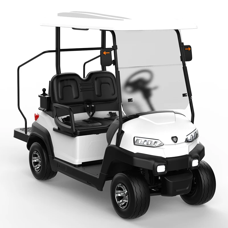 Approved 2 Seater Electric Golf Car For Tourist Electric Golf Cart