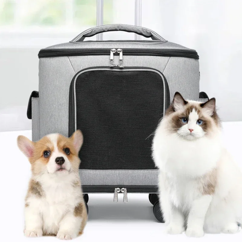 Thumbnail 2 - #7 Latest Dog Travel Crates Updates