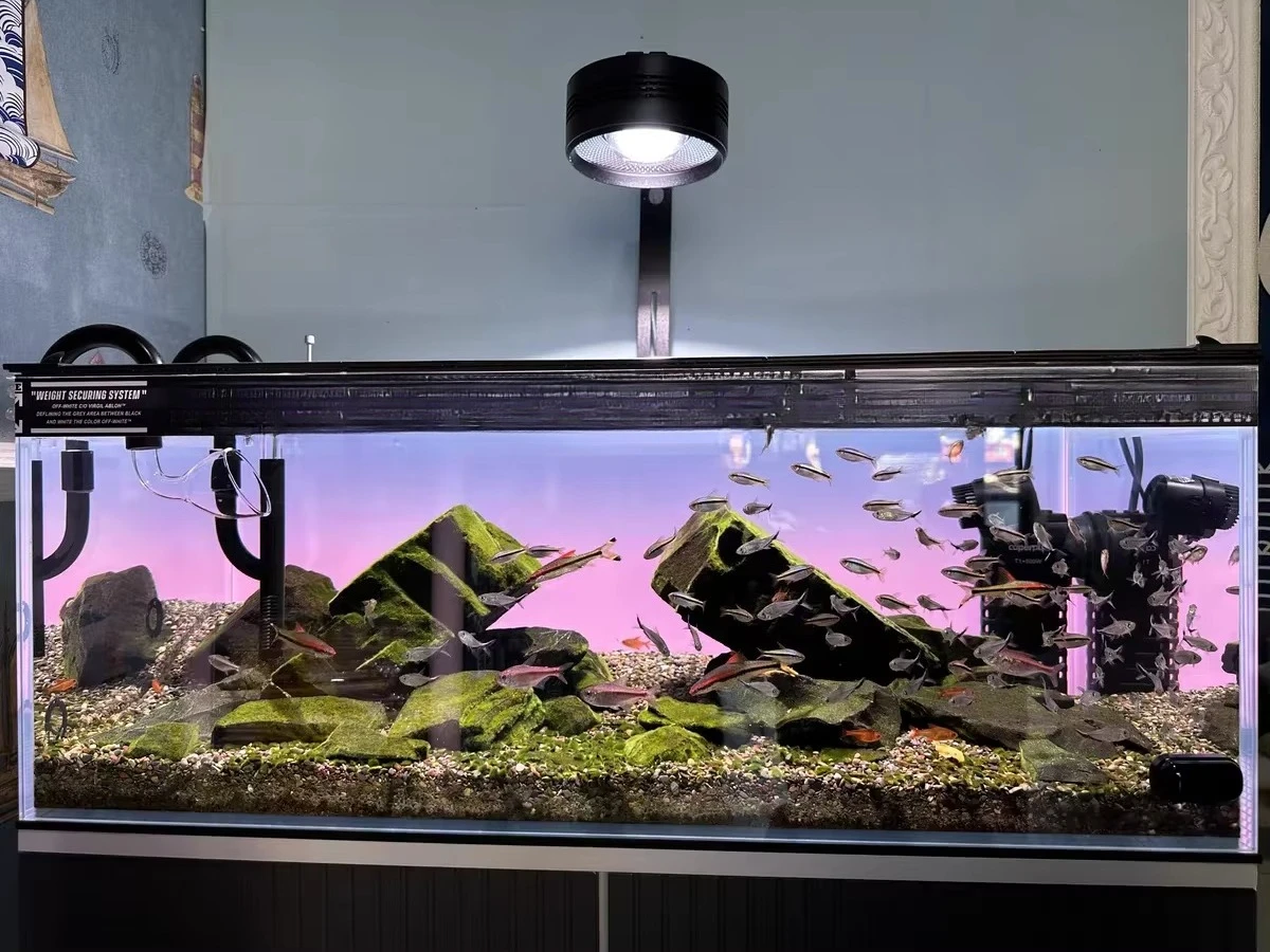 Aquarium Fish Colour - Kolorowa, gradientowa, świecąca tło do akwarium