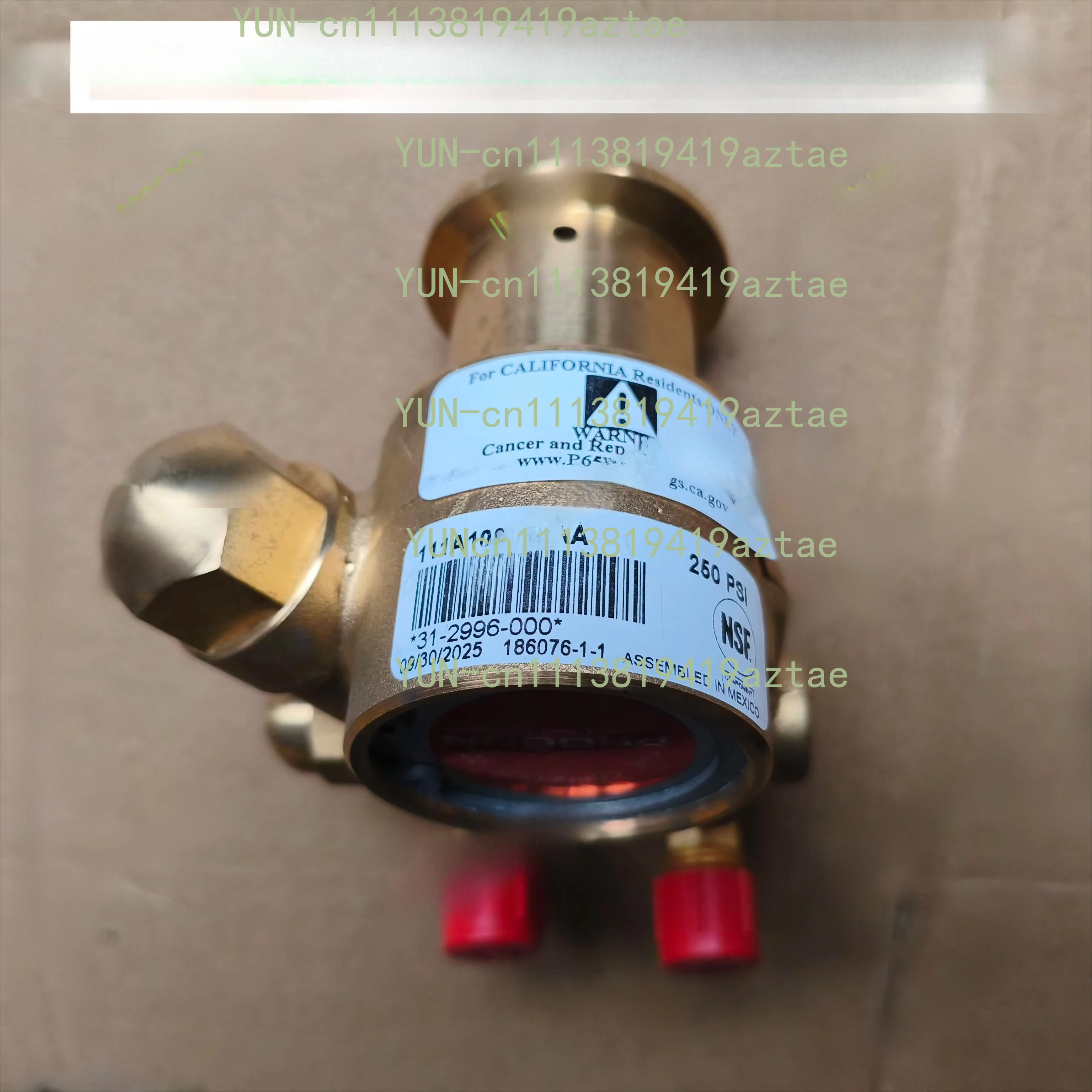 Copper pump head 111A100F11AA 250 regulated pressure pump, copper pump head for Coke machine