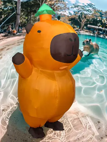 풍선 Capybara 마스코트 의상 만화 동물 카니발 할로윈 코스프레 멋진 드레스 재미 있은 성능 풍선 의류