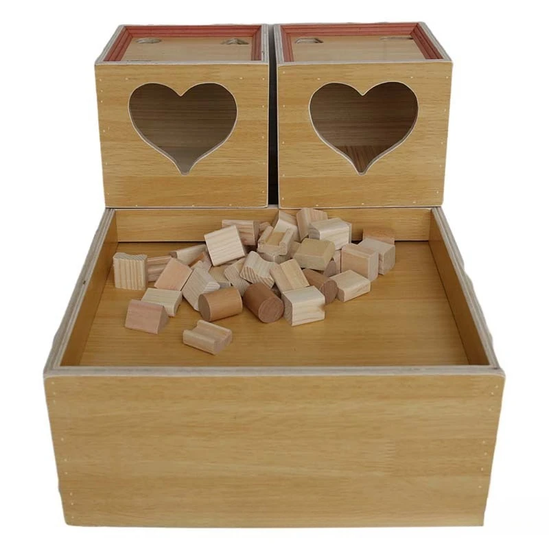 

Cognitive Function Box Adult Children's Cognitive Training Components Homework Training Hand-Eye Association