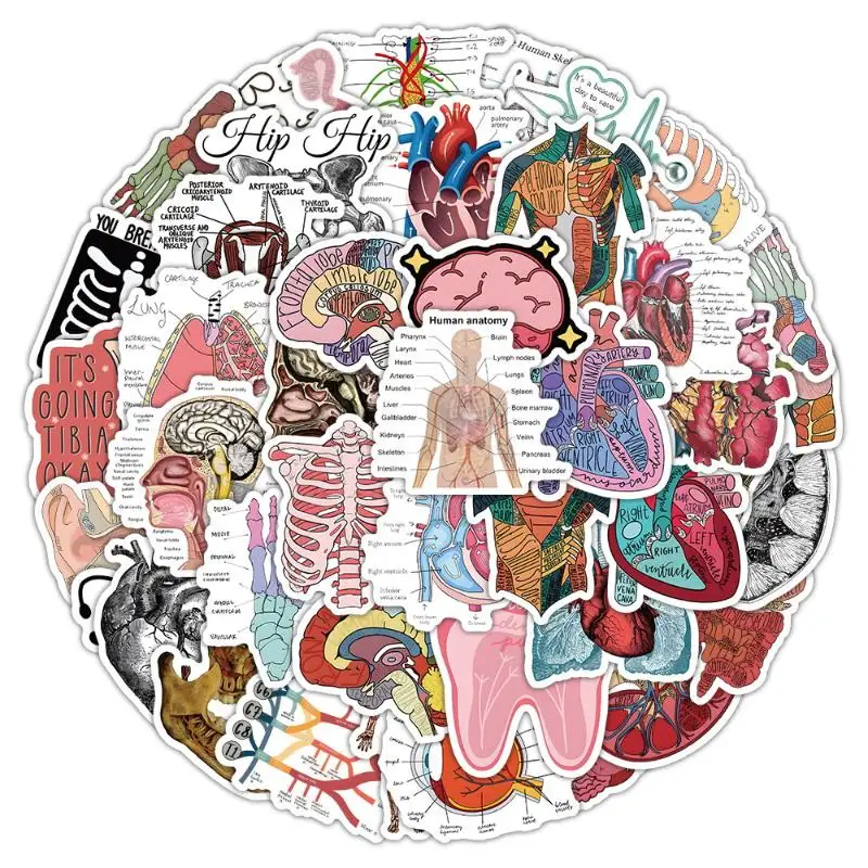 

50 шт., виниловые наклейки для органов человека, ретро эстетические научные анатомические наклейки для ноутбука, бутылки с водой, багажа, тетради, граффити