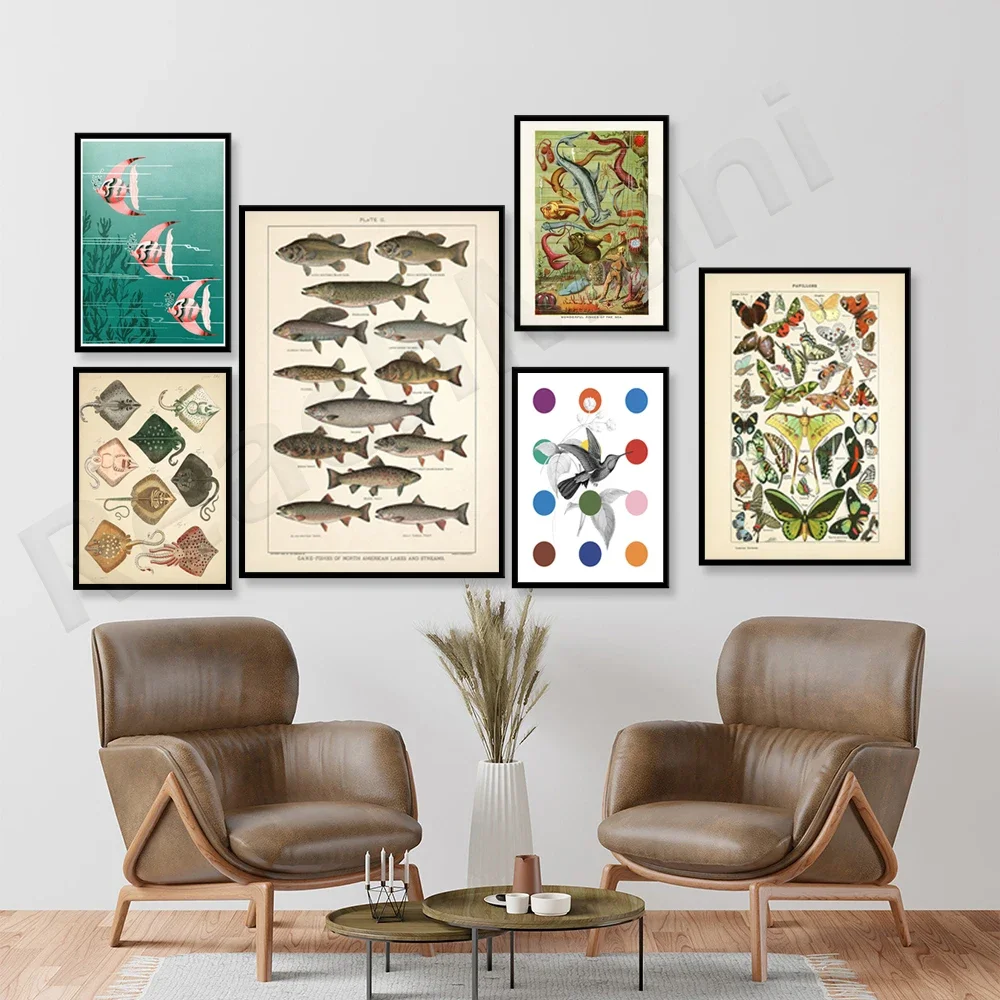 German Octopus Squid, Octopus, French Butterfly, Hummingbird, Freshwater Fish, Whale Chart, Cockatoo, Jellyfish, Sea Life Poster