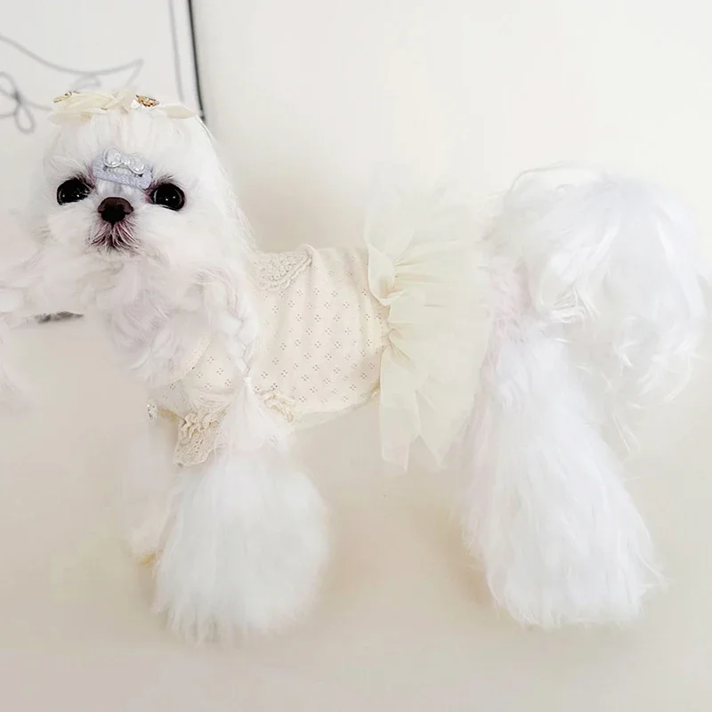 

Spring Summer Thin Cotton Puppy Cats Clothing Fashion Simple Beige White Lace Princess Dress For Small Medium Dog Pet Clothes
