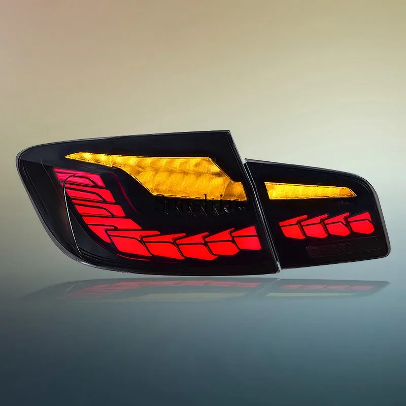 

Dedicated to 11-17 5 Series F10 F18 modified dragon scale LED running water steering tail light auto parts