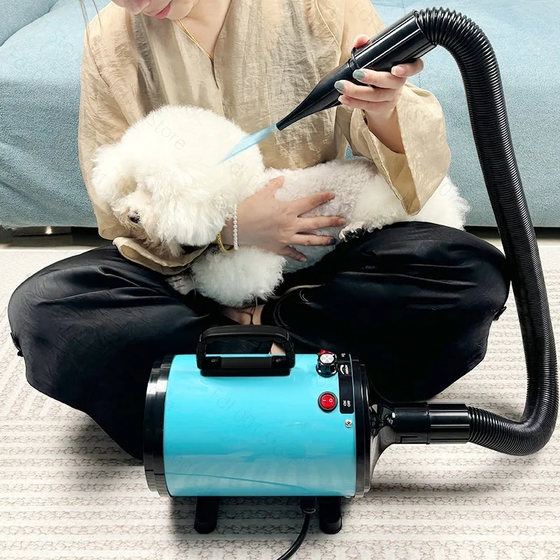 Cross-border export dog bath, large air volume, fast drying hair dryer, pet modeling hair dryer, portable pet water dryer