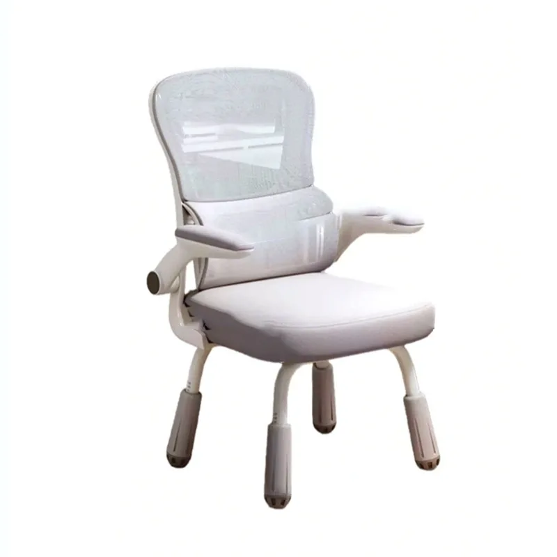 

Study chair, computer chair, backrest, desk chair, primary and secondary school student home writing seat