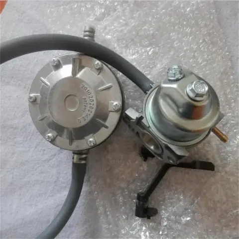 होंडा GX160 GX200 E*1800 2200 EC2500 3 किलोवाट जनरेटर लिक्विफील्ड 196CC रेगुलेटर के लिए 2 किलोवाट एलपीजी एलएनजी गैसोलीन रूपांतरण कार्बोरेटर 10 best sales होंडा इज़ी - №7