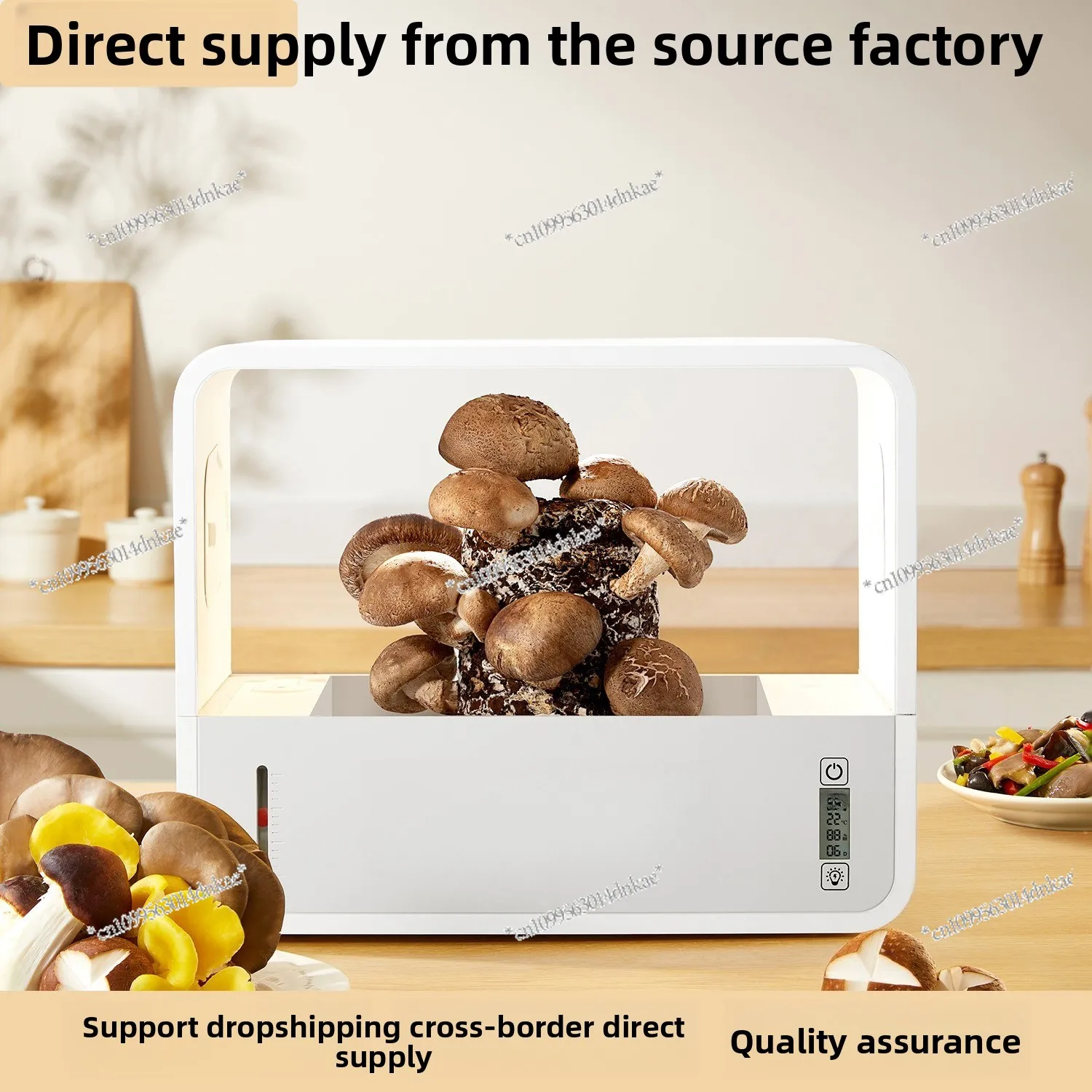 

Mushroom Ecological Box Desktop Smart Mushroom Planter Soilless Cultivation Planting Box Shiitake Mushroom Small Planting Box