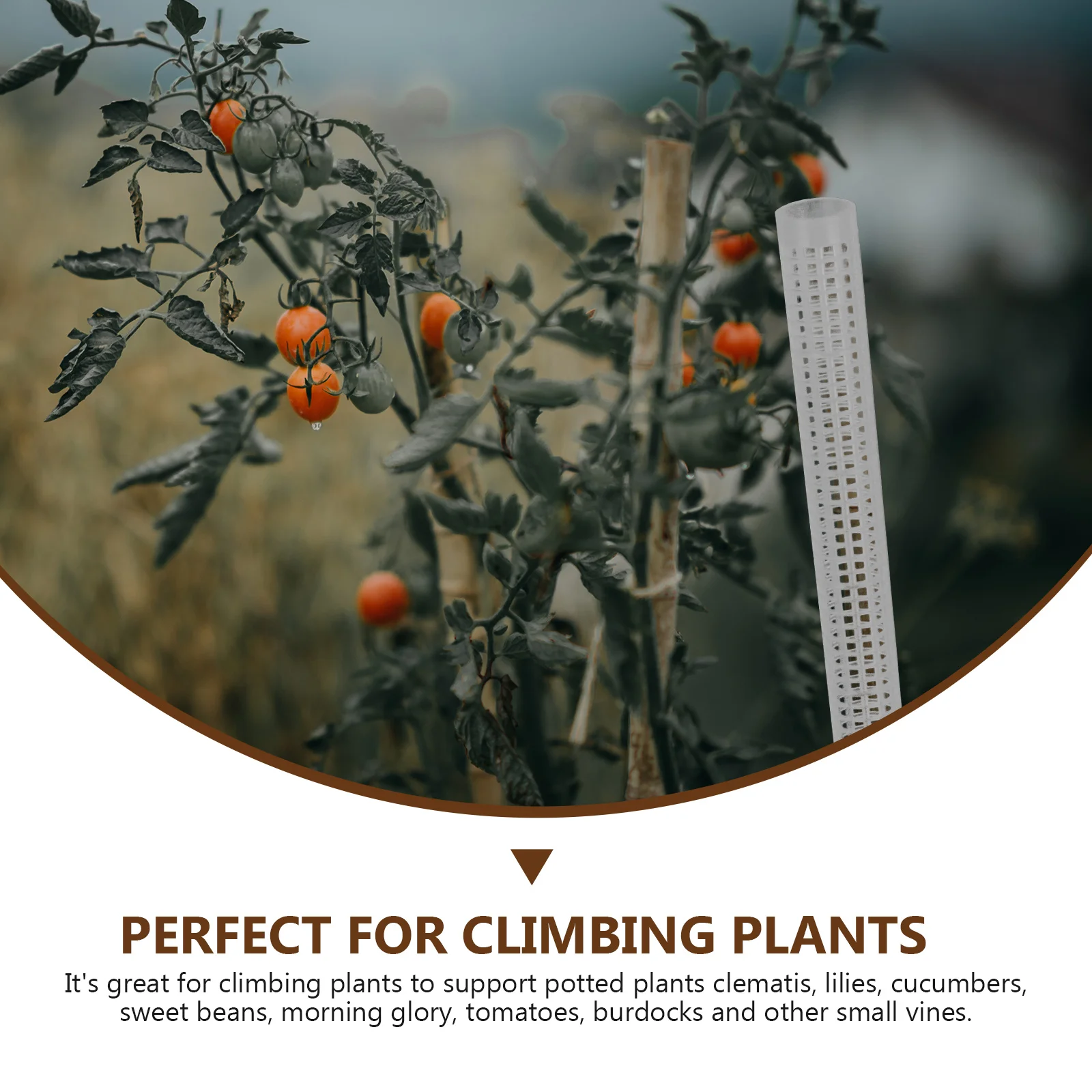 

2 Pcs Plant Climbing Column Water Moss Support Flower Stake Durable Reusable Safe Growth Environment Plant Tool