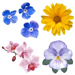 Flower Patches for Clothing Heat Transfer Fashion Appliques for Clothing Thermo Sticker Iron on Vinyl Embroidery Patch Appliques