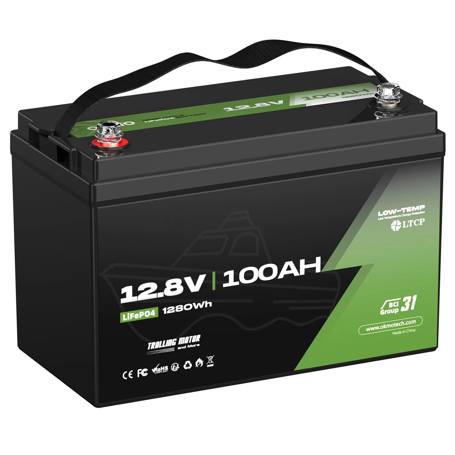 

12V 100Ah TM LiFePO4 Battery, Lithium Battery 150A BMS, 10 Years Lifetime 15000+ Deep Cycles,for Marine, RV,, Customized