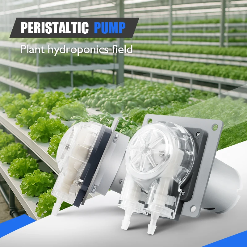 Longlife 24v large flow 4.2LPM peristaltic metering pump for chemical liquid delivery in pH meter hydroponic system