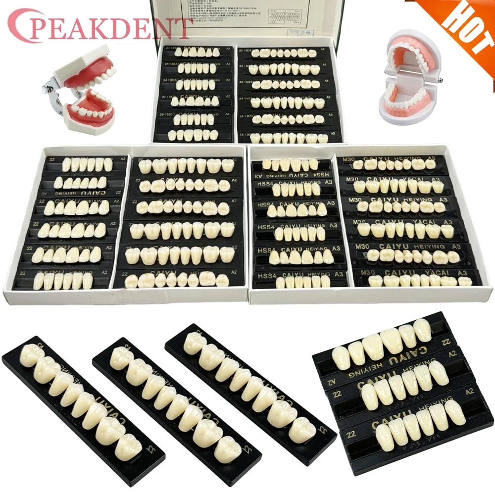 

Зубные смоляные зубы, задние передние зубные протезы с полным ртом, большой размер, 2-слойные, экономичные зубы, полный верхний нижний набор протезов