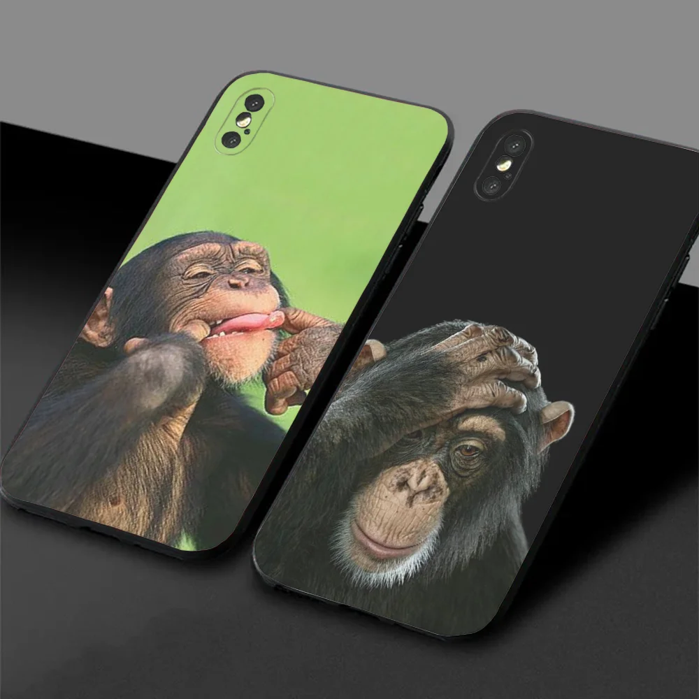 Monkey Sipping Caprisun Meme Phone Case for Samsung S24, 22,30, 20,10, 9,Note20 Ultra、Lite、Ultra、5G、Plus、FE