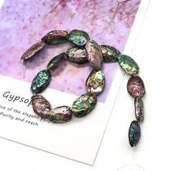 Exquisite Natural Abalone Shell Irregular Abalone Beads 13-30mm Charming Fashion DIY Necklace Earring Bracelet Jewelry Accessory