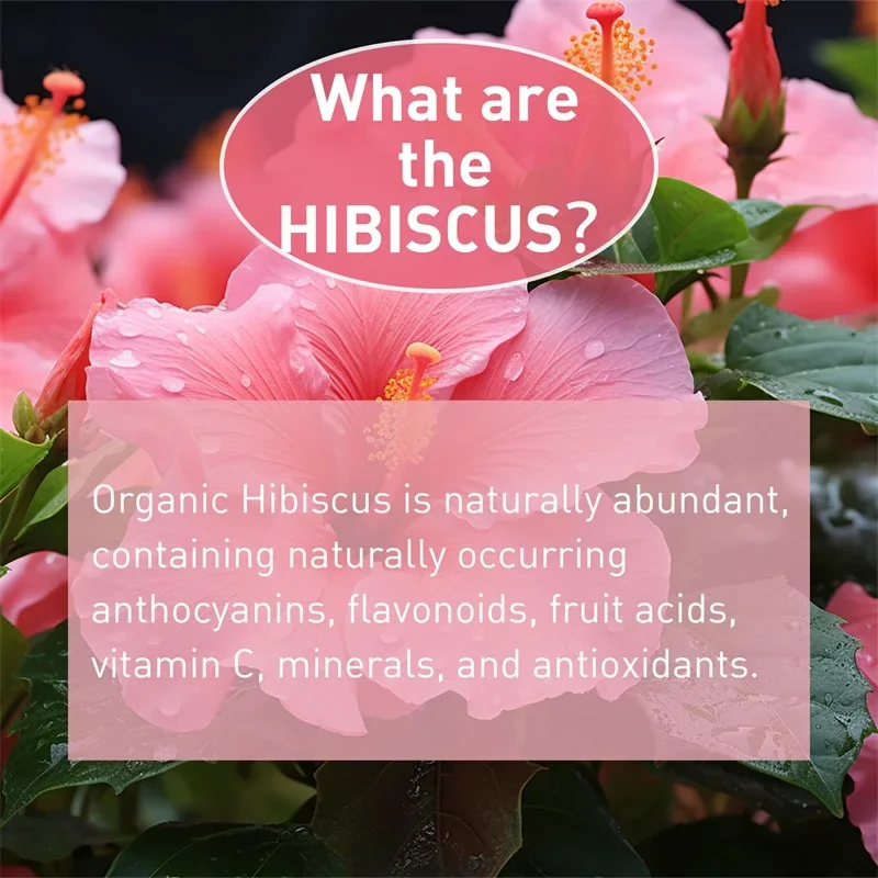 

Organic Hibiscus Capsules - Promotes Liver Health,Immune Support, Antioxidant, Maintains Normal Blood Pressure, Improves Energy