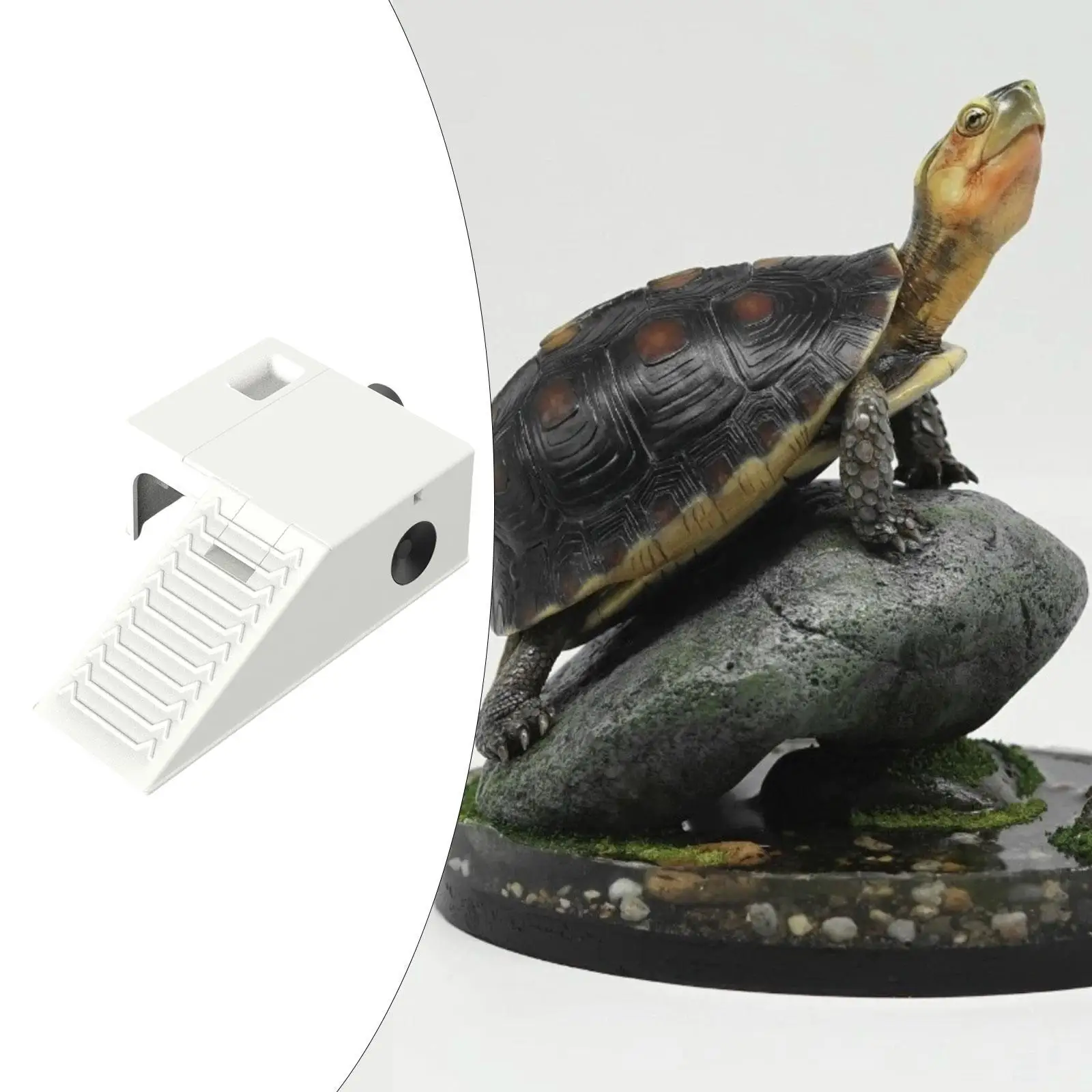 Diletakkan kura-kura Platform berjemur Habitat reptil untuk Salamanders Terrapin