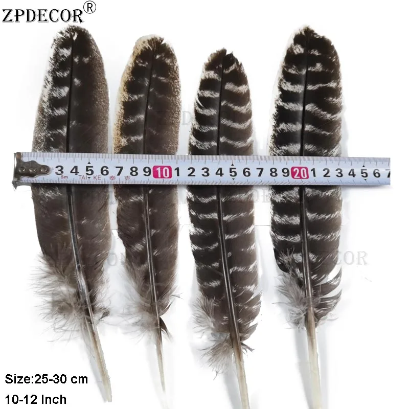 ZPDECOR Natural Turkey Feathers 24-28cm/10-12 Inch for Home Decorations And Craft Projects