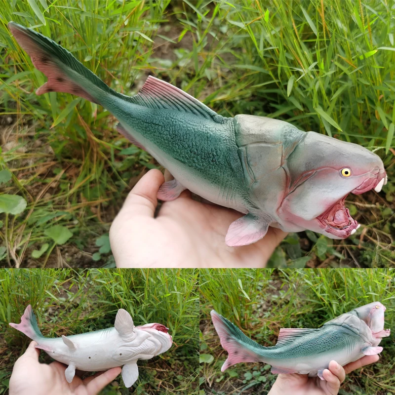 โมเดลสัตว์ทะเลน้ำตื้นสมจริง สำหรับตกแต่งบ้าน ของเล่นเสริมพัฒนาการเด็ก ของสะสม