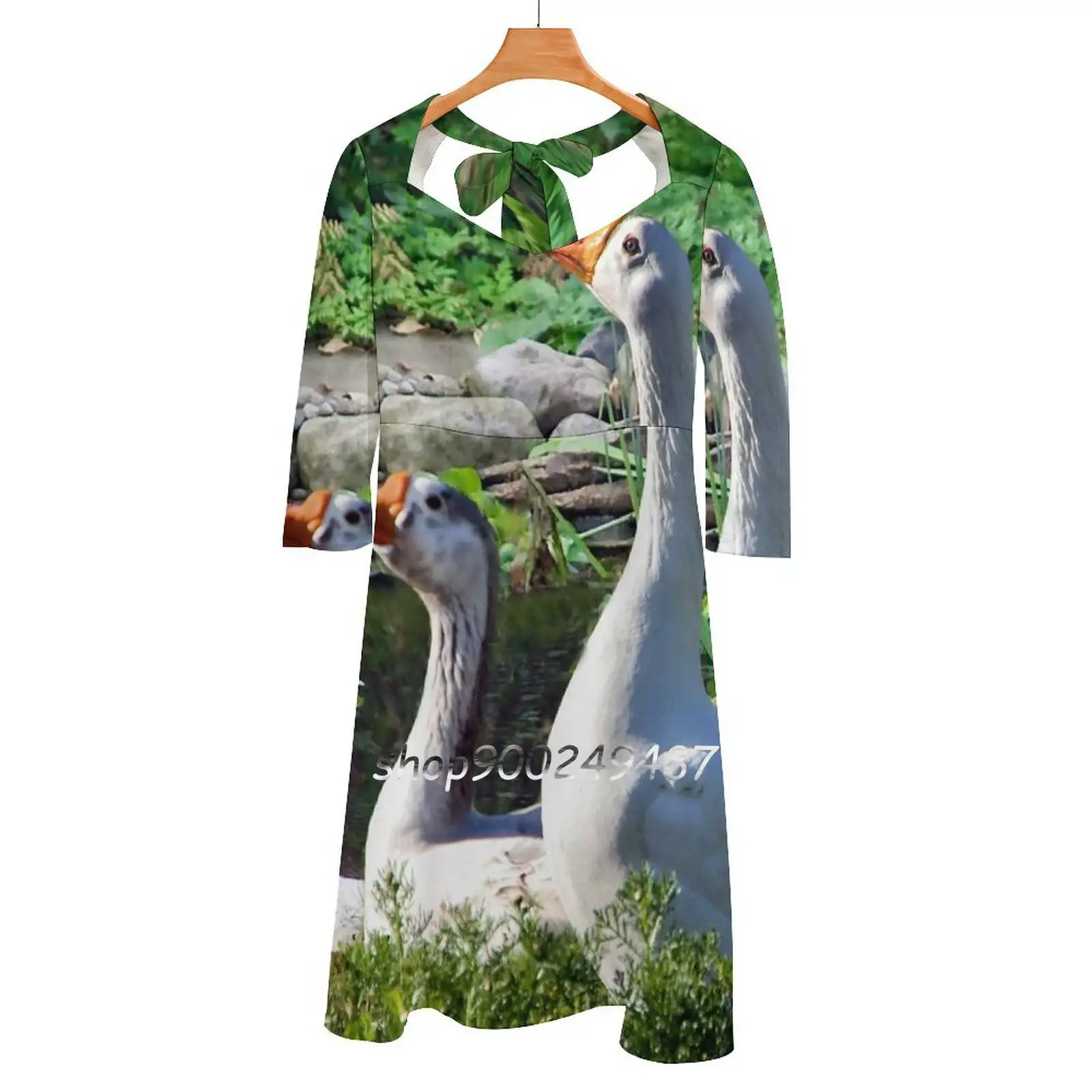 

What'S That Over There  Square Neck Dress Sweet Summer Dress Women Elegant Halter Print Dress Geese Looking Birds Rocks Nature