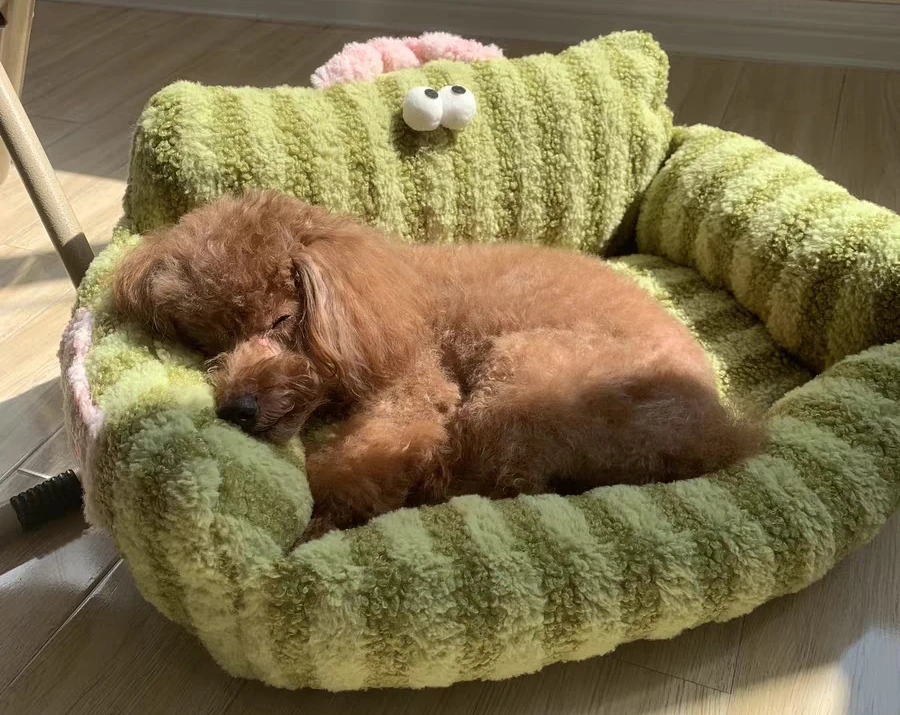 Puppy special sofa kennel winter warm pet Internet celebrity cat nest small dog dog sleeping mat cushion winter bed