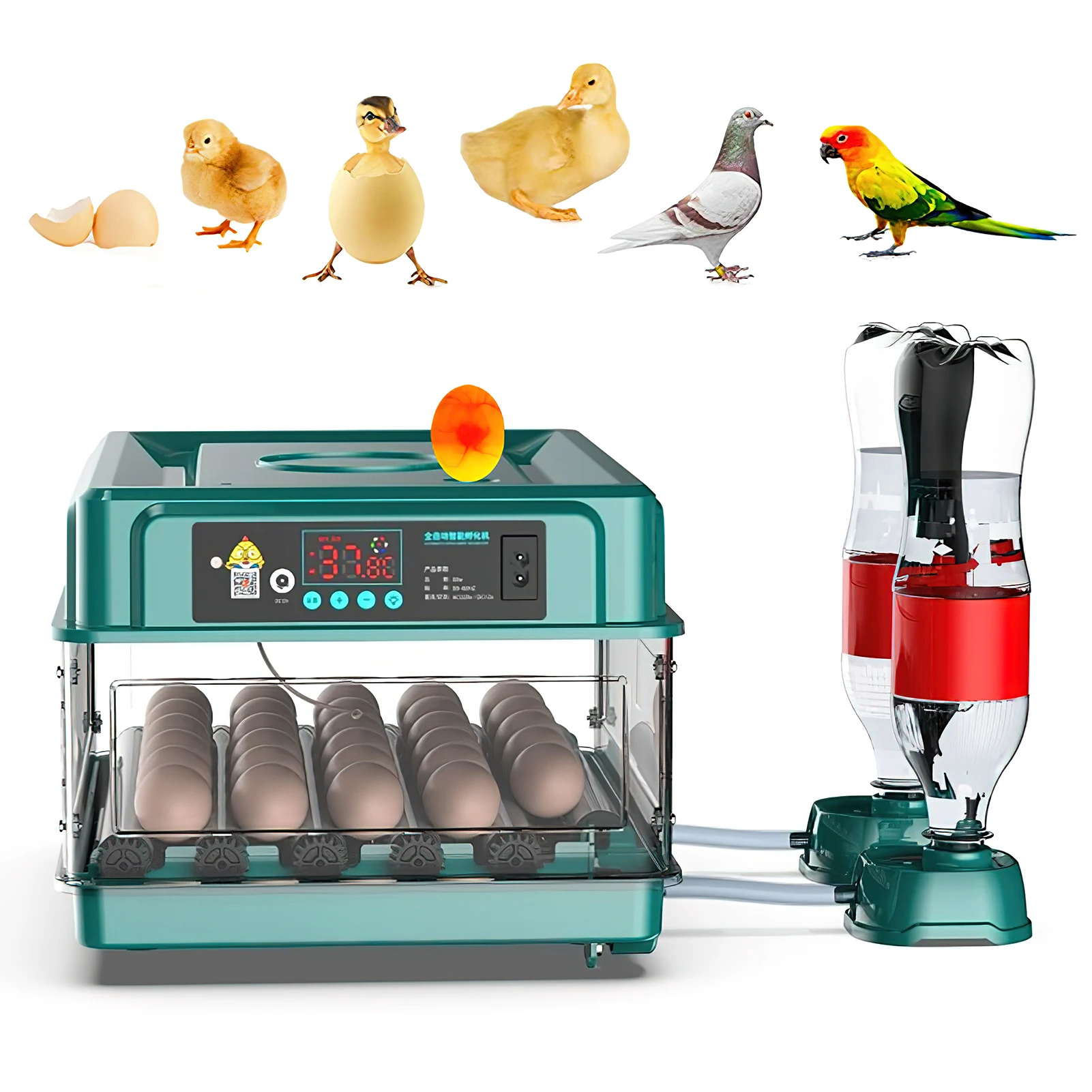 

Egg Automatic Incubator 24-60 Eggs Automatic Intelligent Incubators for Hatching Eggs,Poultry Hatching Machine for Chicken Duck