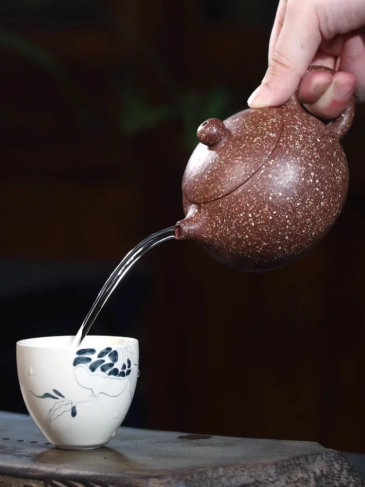 Canghu Tianxia Yi Purple Clay Pot Pure Handmade Tea Set 20 Mesh Symbiotic Mineral Dragon Blood Sand