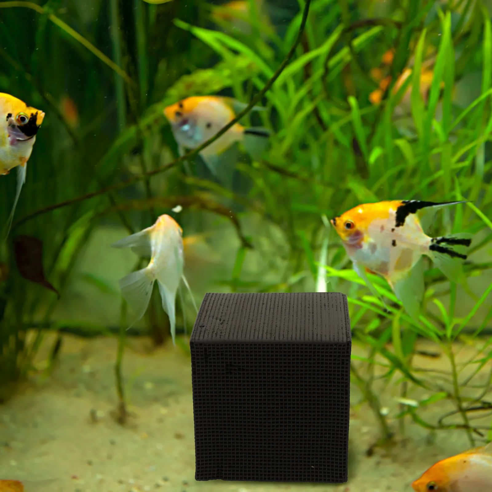

Water Purifier Cube Aquarium Filter Activated Carbon Fish Tank Supply High Porosity Safe Durable Easy Use No Installation