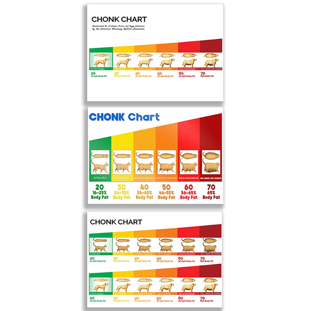 Chonk Chart Print, Cat Weight Gain Poster, Veterinary Wall Art, Funny Cute Animals, Wall Decor Poster